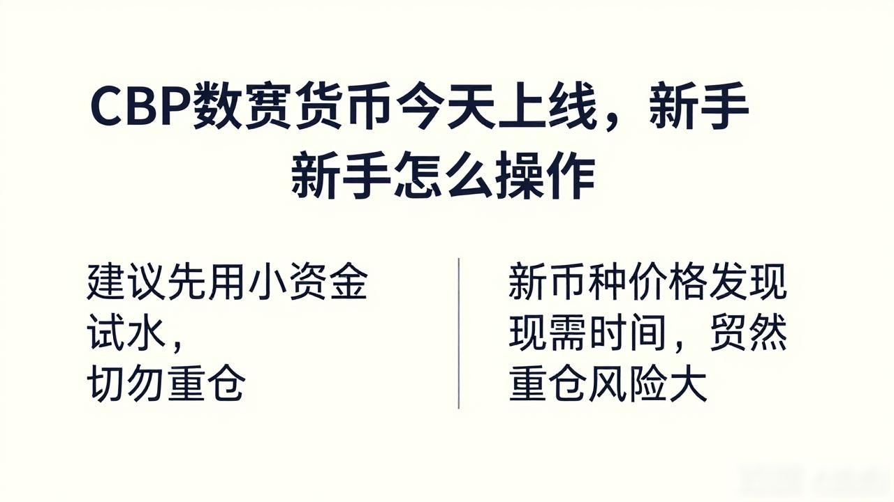 CBP数字货币今天上线，新手怎么操作